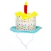 Celebrations Buttons & Bones Birthday Cake Bucket Hat image thumbnail 2
