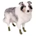 Buttons & Bones Everyday Camo Socks image thumbnail 5