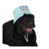 Top Paw® Suns Out Tounges Out Bucket Hat image thumbnail 1