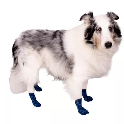 Buttons & Bones Everyday Dog Bone Socks - Image 5