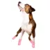 Buttons & Bones Everyday Dog Bone Socks image thumbnail 5