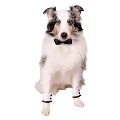 Celebrations Buttons & Bones Wedding Tuxedo Bandana & Cuff Set - Image 4