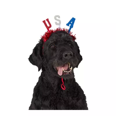 Top Paw® USA Headband - Image 1