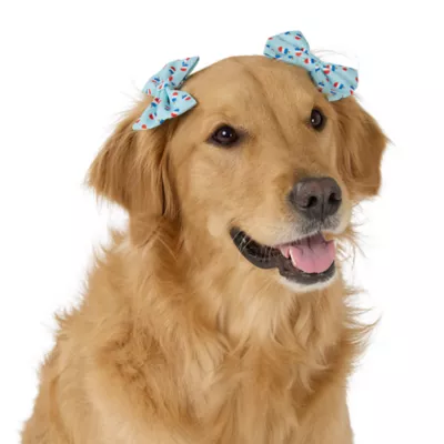 Top Paw® Popsicles Hairclips - Image 1