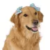Top Paw® Popsicles Hairclips image thumbnail 1