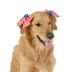 Top Paw® American Flag Hairclips image thumbnail 1
