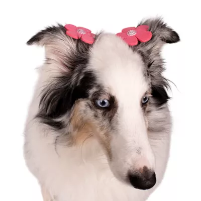 Buttons & Bones Everyday Flower Hair Bow Set - Image 3