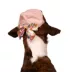 Buttons & Bones Grow On Bow Hat image thumbnail 4