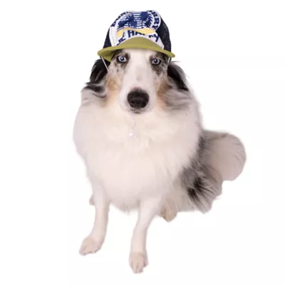 Buttons & Bones Be Happy Trucker Hat - Image 3
