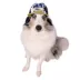 Buttons & Bones Be Happy Trucker Hat image thumbnail 3