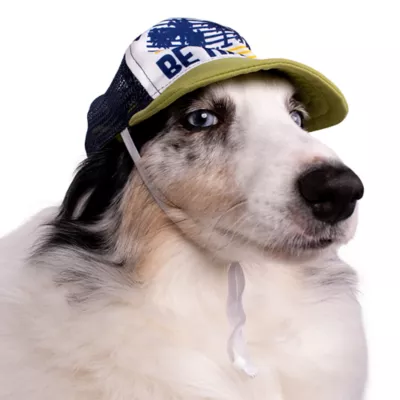 Buttons & Bones Be Happy Trucker Hat - Image 4