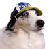 Buttons & Bones Be Happy Trucker Hat image thumbnail 4