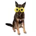 Buttons & Bones Sunflower Glasses image thumbnail 4
