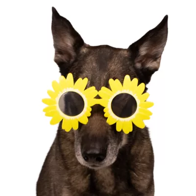 Buttons & Bones Sunflower Glasses - Image 5