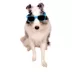 Buttons & Bones Blue Sunglasses image thumbnail 4