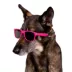 Buttons & Bones Pink Sunglasses image thumbnail 5