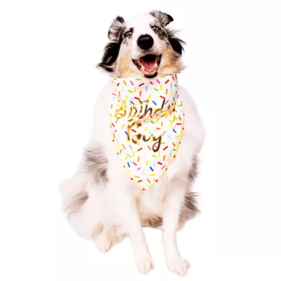 Celebrations Buttons & Bones Birthday Sprinkle Bandana - Image 3