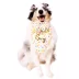 Celebrations Buttons & Bones Birthday Sprinkle Bandana image thumbnail 3