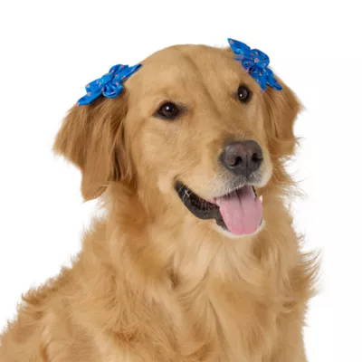 Top Paw® Sunglasses Hairclips - Image 1