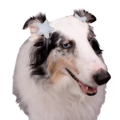 Buttons & Bones Everyday Bow & Star Hair Bow Set - Image 4