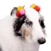 Buttons & Bones Pom & Chambray Hair Bow Set image thumbnail 3