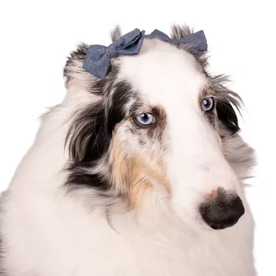 Buttons & Bones Pom & Chambray Hair Bow Set - Image 4
