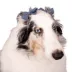 Buttons & Bones Pom & Chambray Hair Bow Set image thumbnail 4