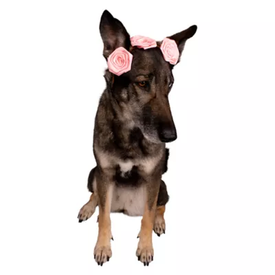 Buttons & Bones Everyday Satin Roses Headband - Image 3