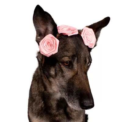 Buttons & Bones Everyday Satin Roses Headband - Image 4