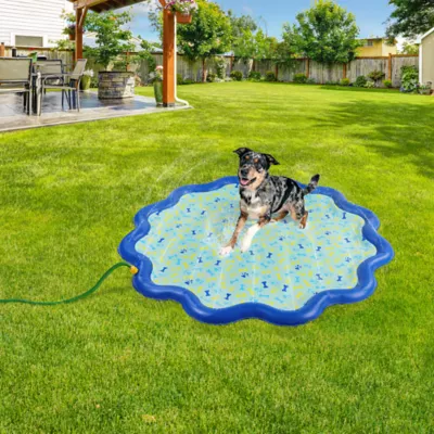 Top Paw® Bone Paw Splash Pad - Image 2