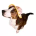 Buttons & Bones Sunflower Bucket Hat image thumbnail 3