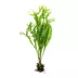 Top Fin® Windelov Live Plant image thumbnail 2