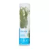 Top Fin® Windelov Live Plant image thumbnail 3