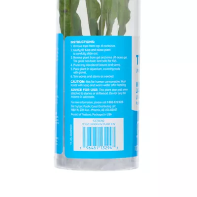 Top Fin® Windelov Live Plant - Image 5