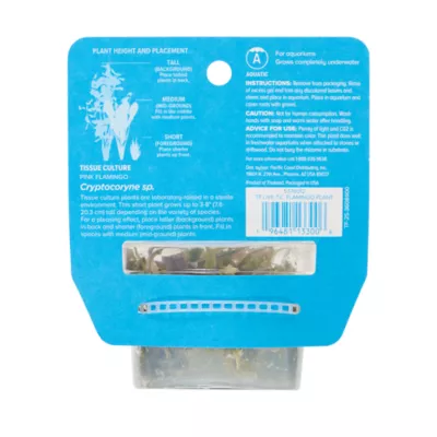 Top Fin® Pink Flamingo Live Plant Tissue Culture - Image 4
