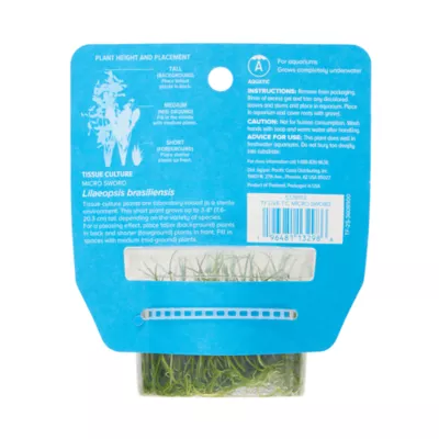 Top Fin® Micro Sword Live Plant Tissue Culture - Image 4