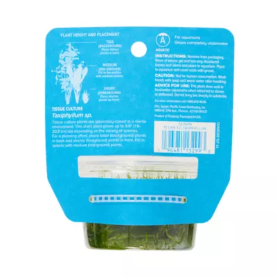 Top Fin® Taxiphyllum Live Plant Tissue Culture - Image 4