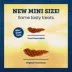 Blue Buffalo True Chews All Life Stages Mini Grillers Dog Treats - Steak image thumbnail 6