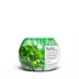 PlantPod Subwassertang Live Plant image thumbnail 1