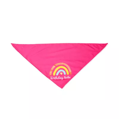 Celebrations Buttons & Bones Birthday Babe Rainbow Bandana - Image 1
