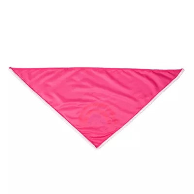 Celebrations Buttons & Bones Birthday Babe Rainbow Bandana - Image 2