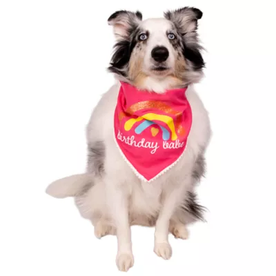 Celebrations Buttons & Bones Birthday Babe Rainbow Bandana - Image 3