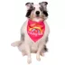 Celebrations Buttons & Bones Birthday Babe Rainbow Bandana image thumbnail 3