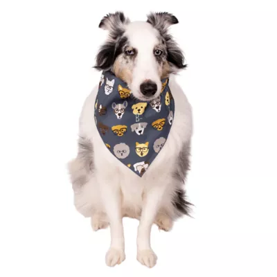 Buttons & Bones Everyday Dogs with Glasses Bandana - Image 3