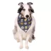Buttons & Bones Everyday Dogs with Glasses Bandana image thumbnail 3