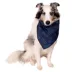 Buttons & Bones Everyday Blue Bone Bandana image thumbnail 3