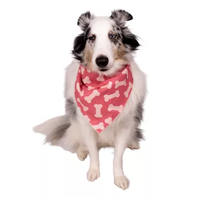 Buttons & Bones Everyday Pink Bone Bandana - Image 3