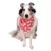 Buttons & Bones Everyday Pink Bone Bandana image thumbnail 3