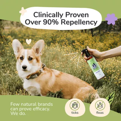 kin+kind Flea+Tick Repel Spray for Dogs, Natural Essential Oil, Lavender Scent, 1 fl oz - Image 2