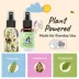 kin+kind Flea+Tick Repel Spray for Dogs, Natural Essential Oil, Lavender Scent, 1 fl oz image thumbnail 4